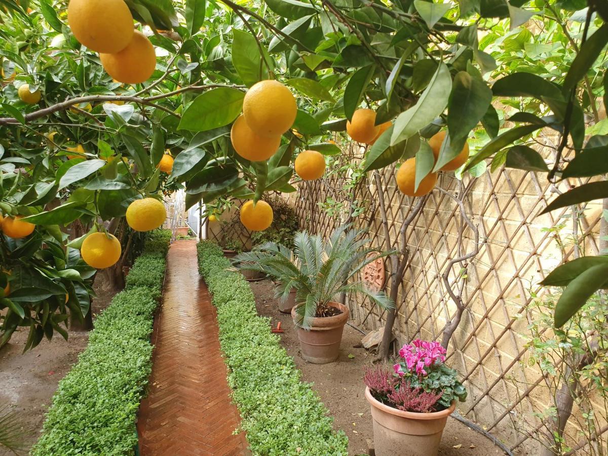 Villa Goethe Agrigento Kültér fotó
